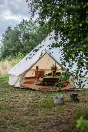 Glamping Świecie Nasz, Lesna